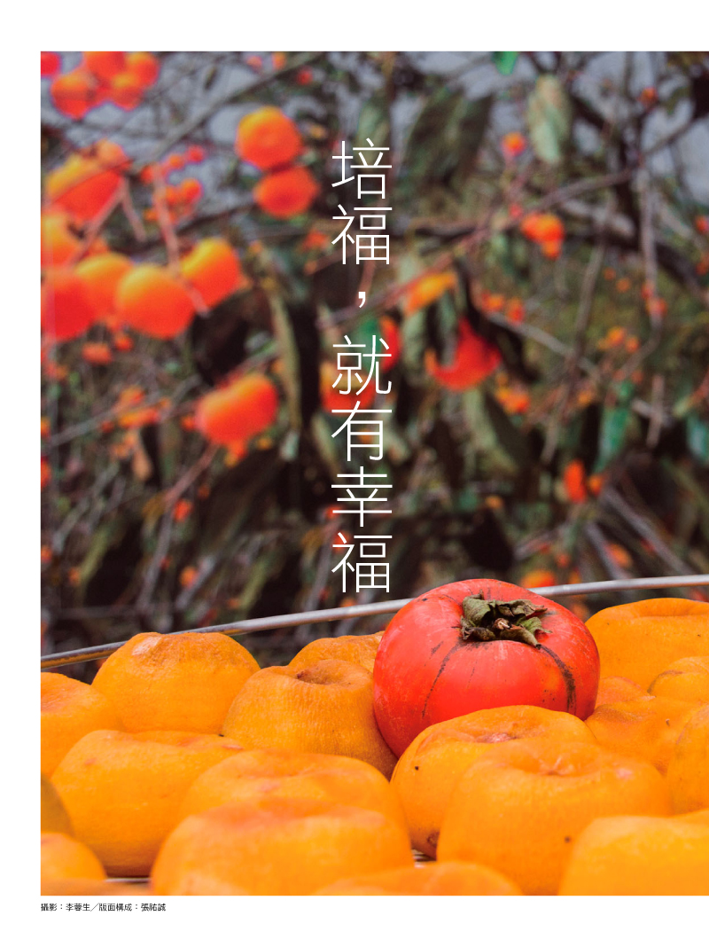 扉頁01