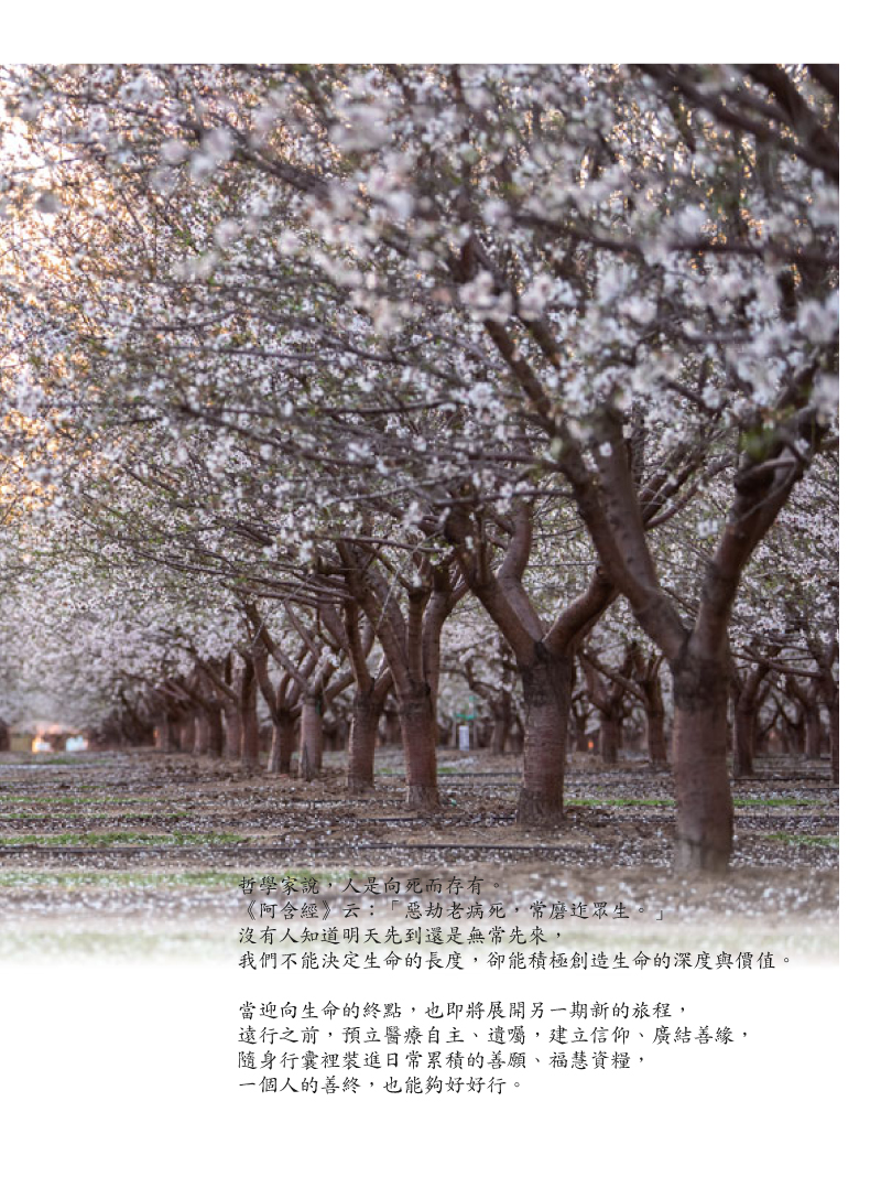扉頁02