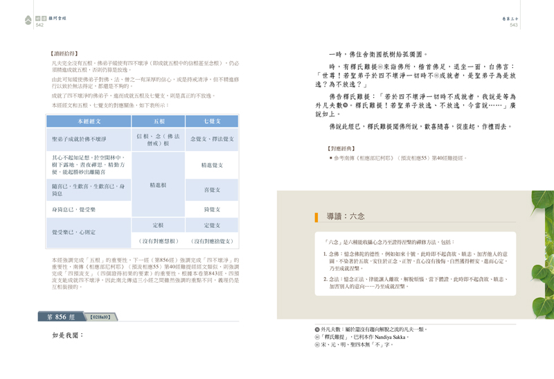 內頁試閱