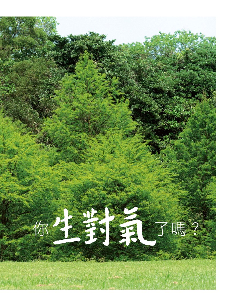 試閱