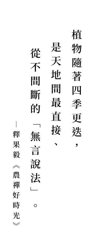 聖嚴法師法語